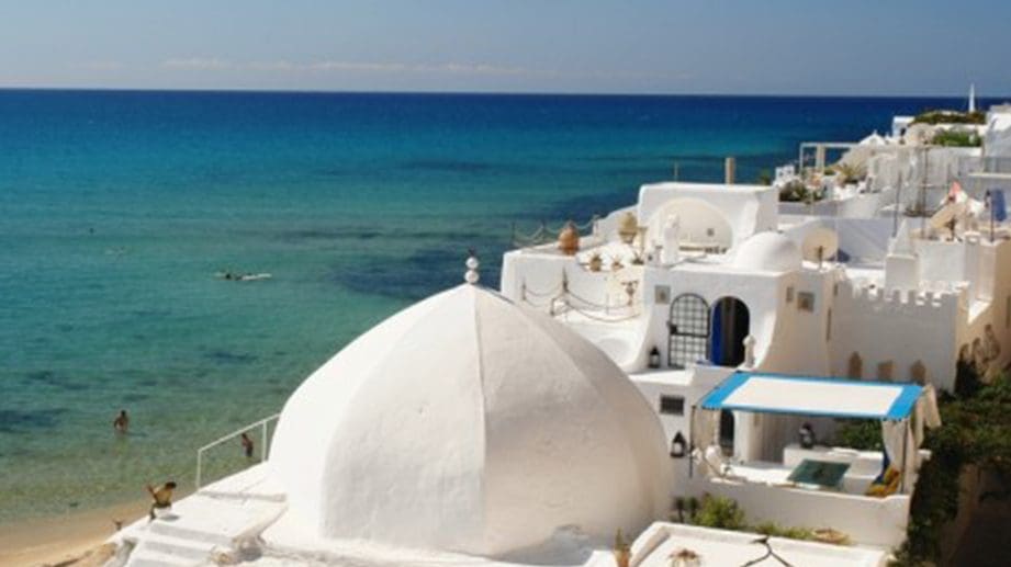 Les merveilles des orangers à Hammamet : un paradis fruité à découvrir