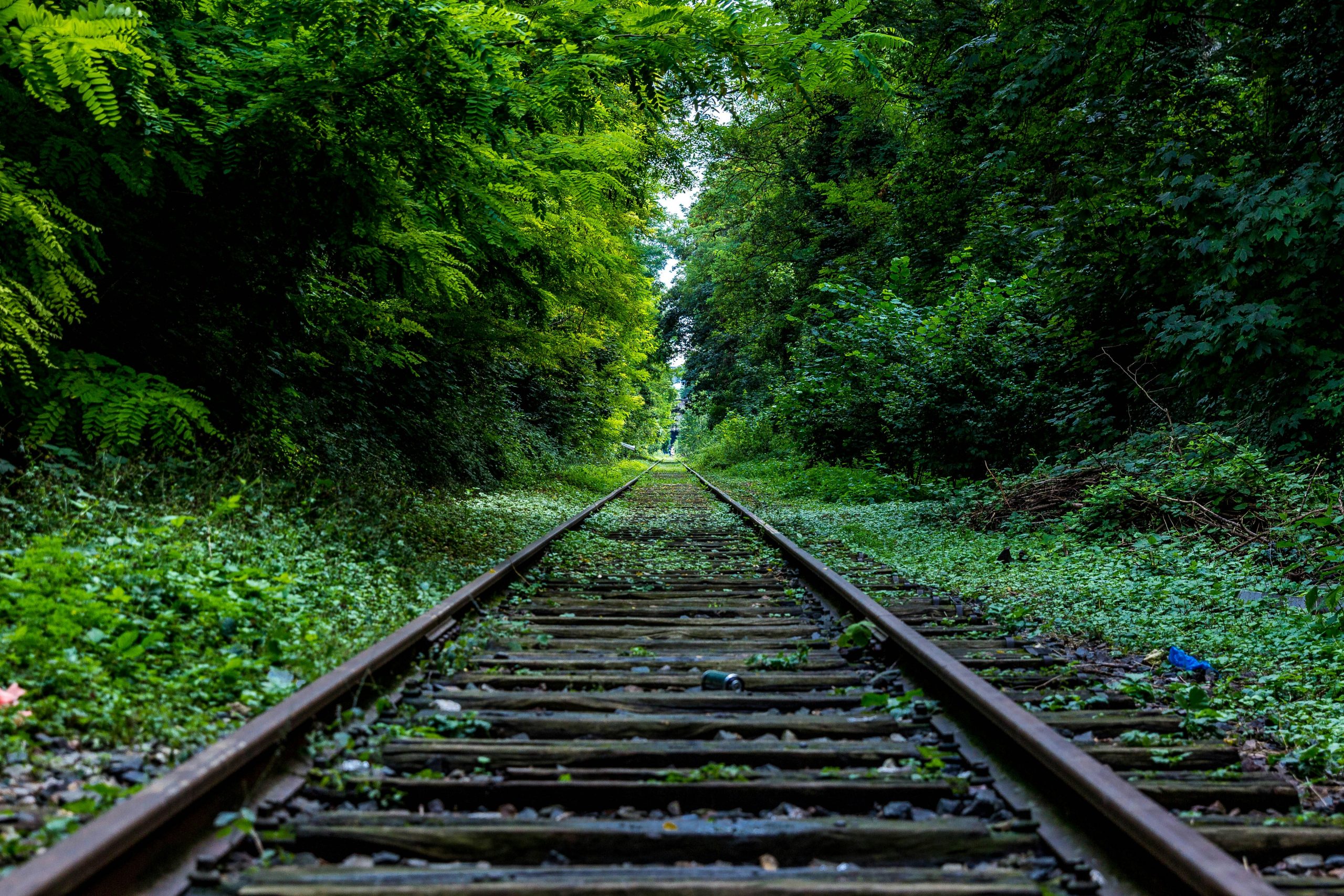 Comment rejoindre Paris depuis Genève en train ?