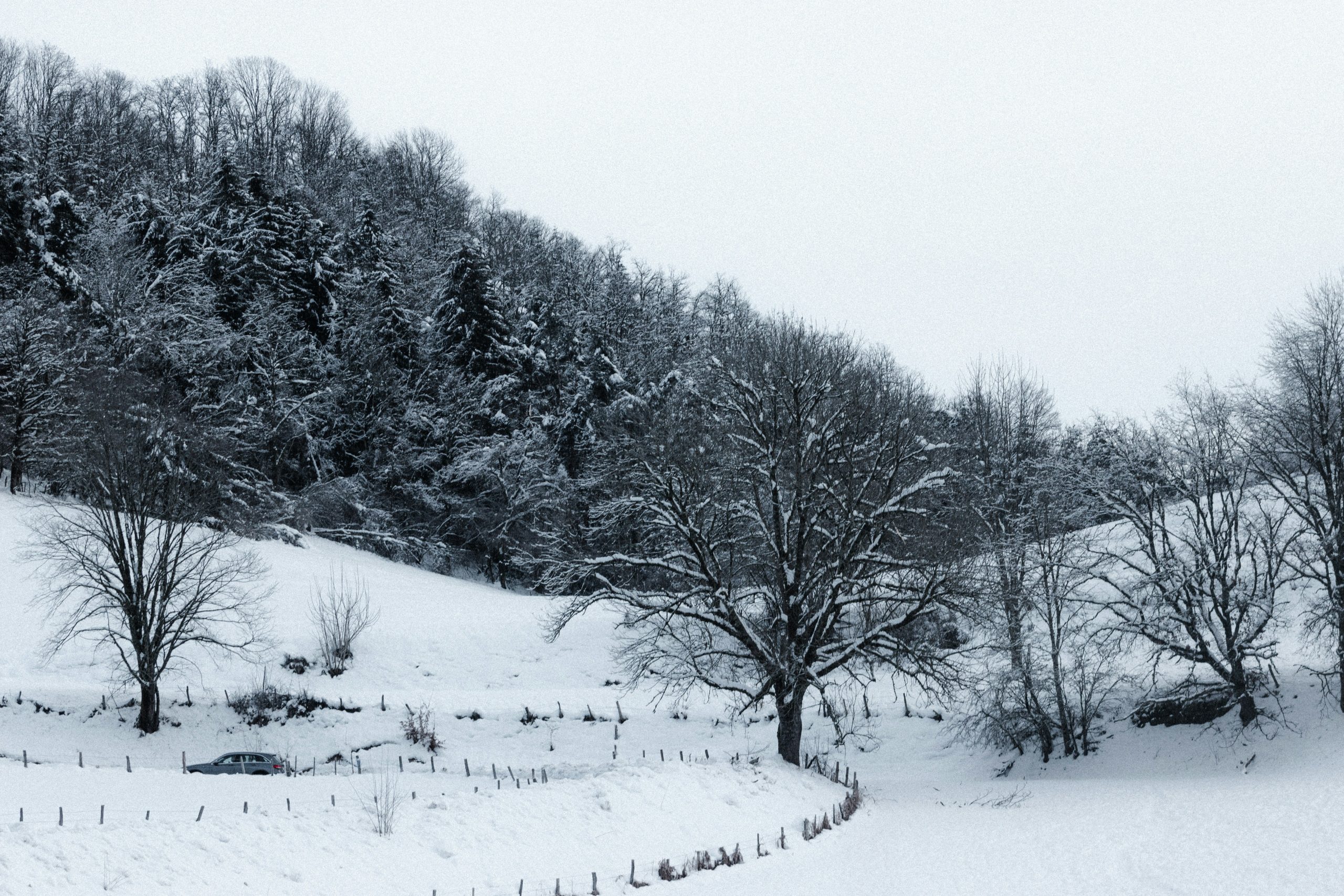 Quelles merveilles cachent le Cantal selon le journal La Montagne ?