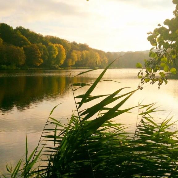 Météo au Lac de Vassivière : Prévisions et Conseils pour les 10 Prochains Jours
