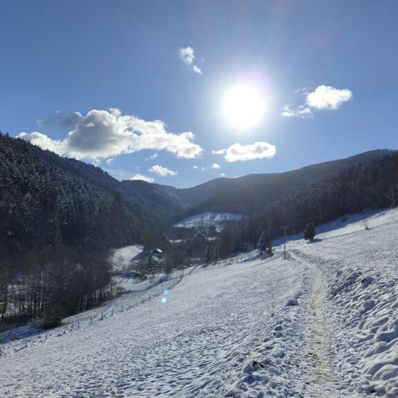 Prévisions Météorologiques à Sainte-Lucie de Porto-Vecchio : Quoi Prévoir pour les Prochains 10 Jours?