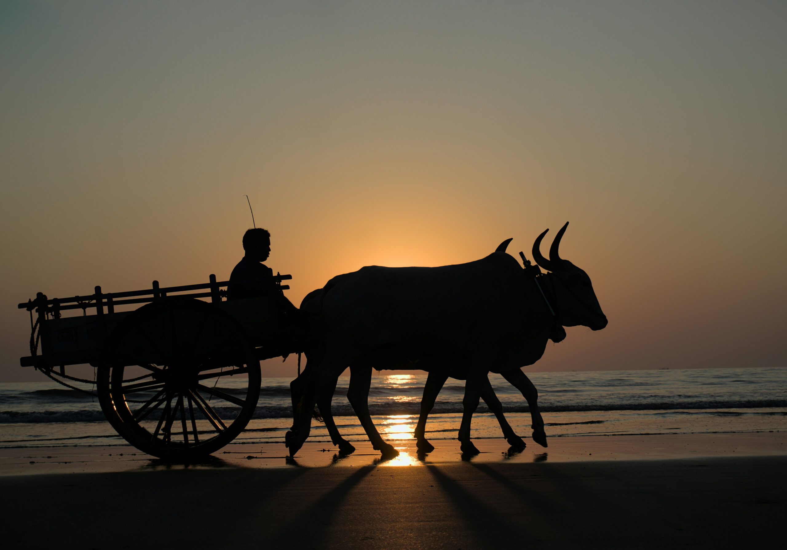 découvrez notre sélection de chariots de plage pratiques et durables pour transporter vos affaires facilement lors de vos journées ensoleillées sur le sable. choisissez parmi une gamme de chariots de plage nautiques et élégants pour un été sans soucis.