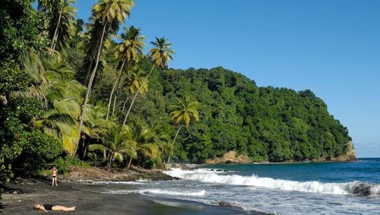 Martinique en Octobre : Mon Avis sur la Perle des Caraïbes à l’Automne
