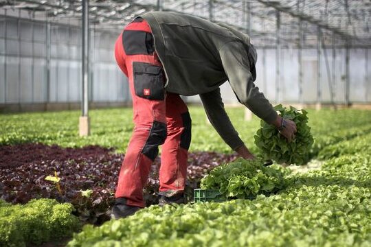 Météo Agricole au Touquet : Quelle Influence sur Votre Séjour?