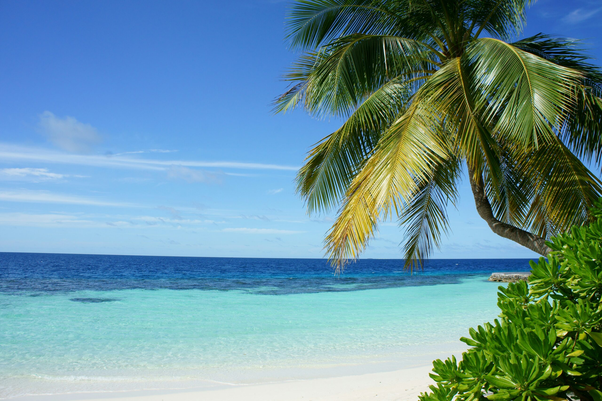 découvrez la splendeur de la plage des gollandières et profitez d'un véritable coin de paradis au bord de l'océan atlantique.